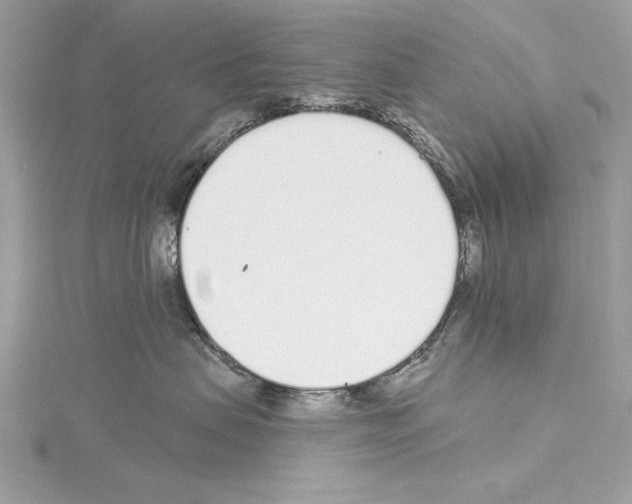 X0000114490479200911301110