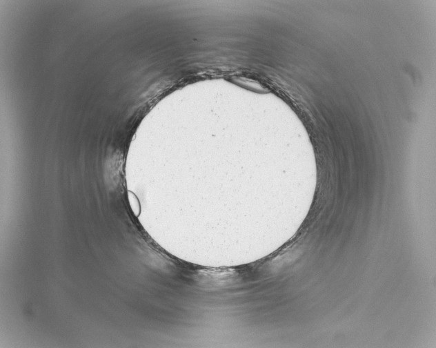 X0000114490480200911301110