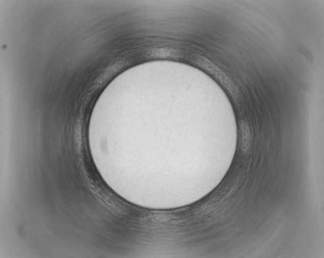 X0000114490482200911301109