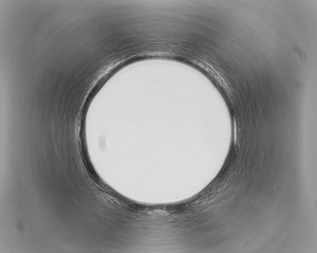 X0000114490483200911301109