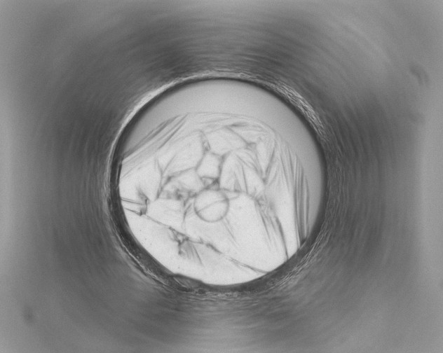 X0000114490484200911301109