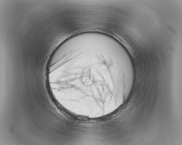 X0000114490485200911301109