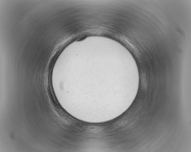 X0000114490486200911301109