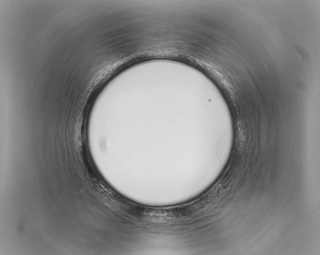 X0000114490487200911301109