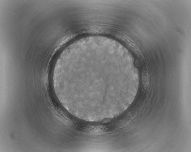 X0000114490488200911301109