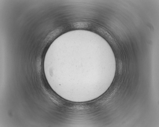 X0000114490490200911301109