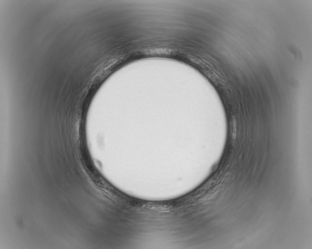 X0000114490491200911301109