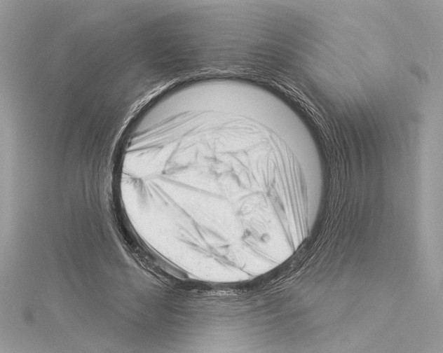 X0000114490492200911301109