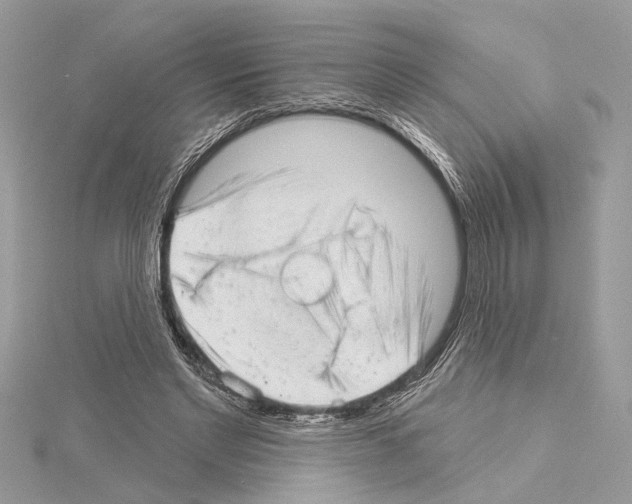 X0000114490493200911301109