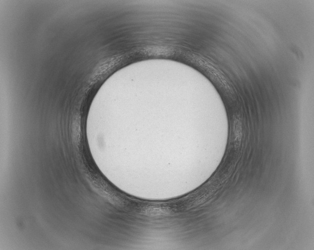 X0000114490494200911301109