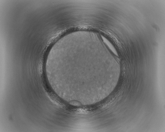 X0000114490496200911301109