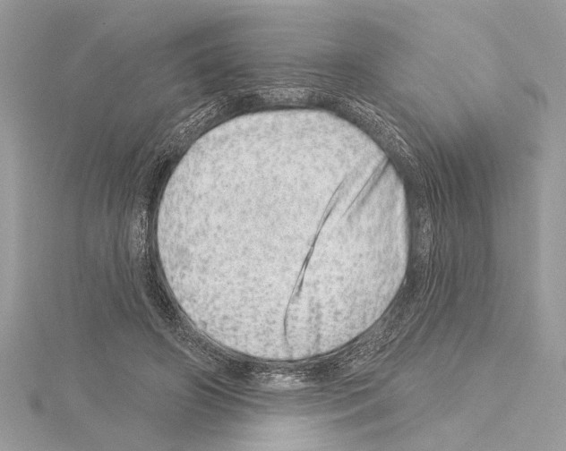 X0000114490498200911301109