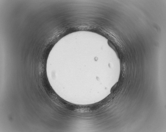 X0000114490499200911301109