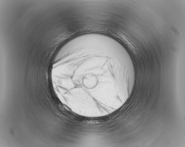 X0000114490500200911301109