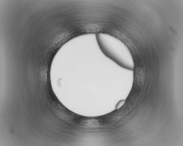 X0000114490501200911301109