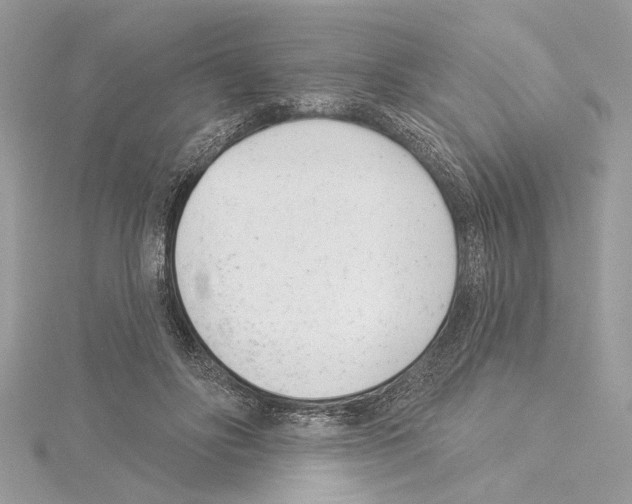 X0000114490502200911301109