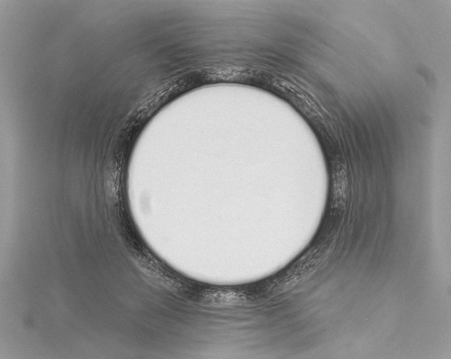 X0000114490503200911301109