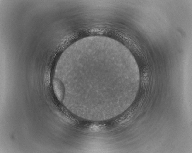 X0000114490504200911301109