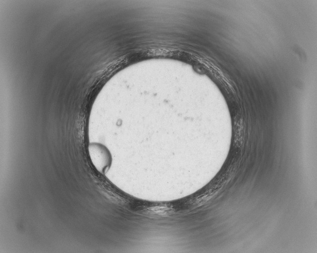 X0000114490505200911301109