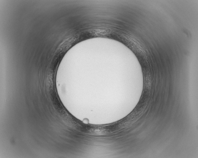 X0000114490506200911301109