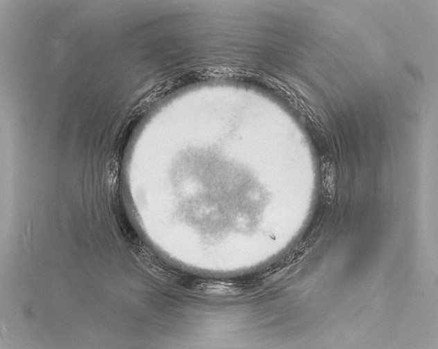 X0000114490507200911301109