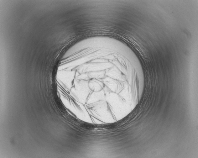 X0000114490508200911301109