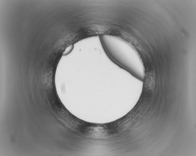 X0000114490509200911301109