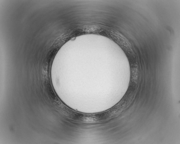 X0000114490510200911301109