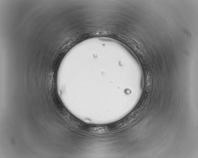 X0000114490511200911301109