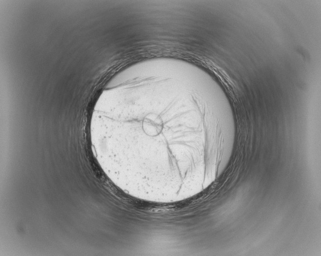 X0000114490513200911301109