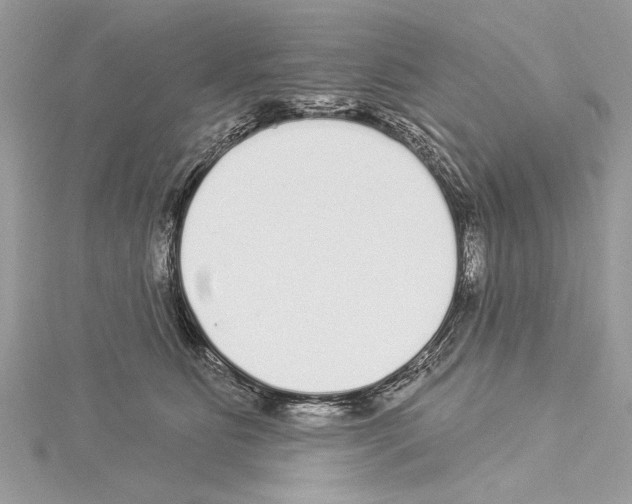 X0000114490515200911301109