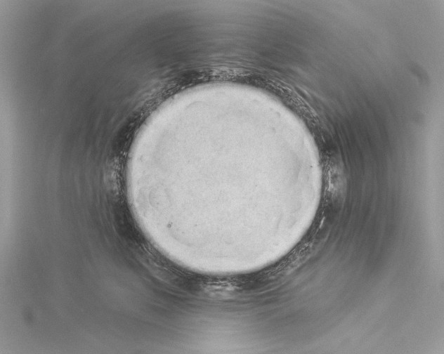 X0000114490519200911301108