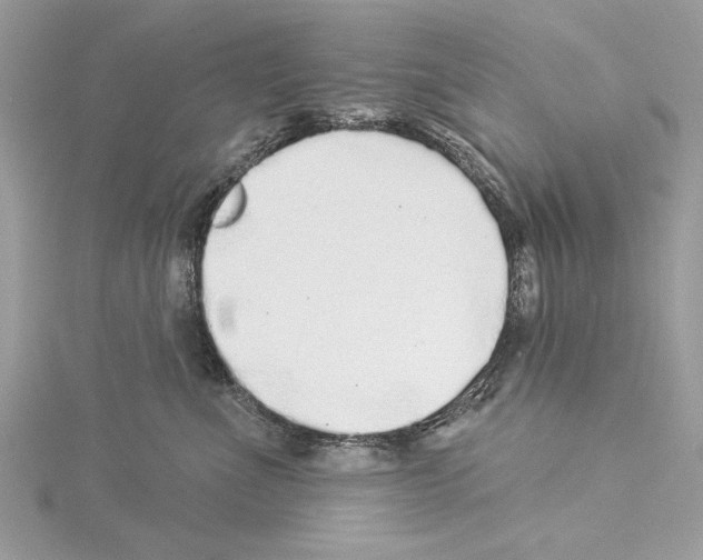 X0000114490523200911301108