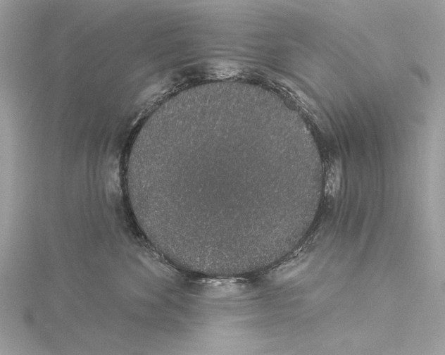 X0000114490524200911301108