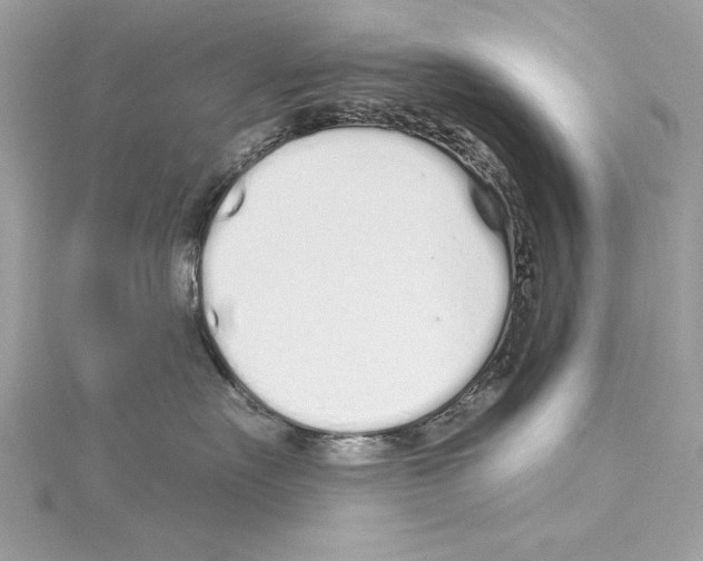 X0000114490527200911301108