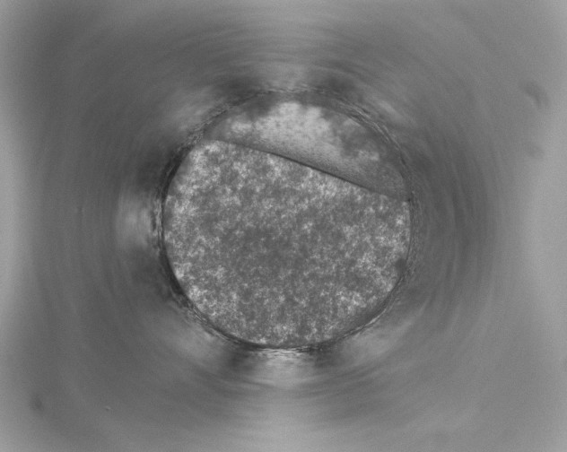 X0000114490528200911301108