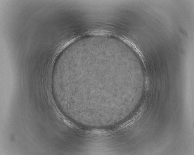 X0000114490529200911301108