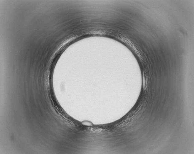 X0000114490531200911301108