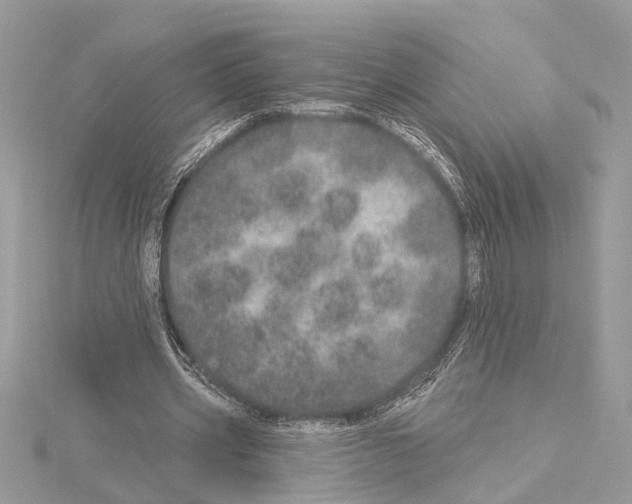 X0000114490533200911301108