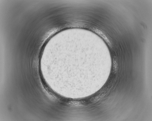 X0000114490534200911301108