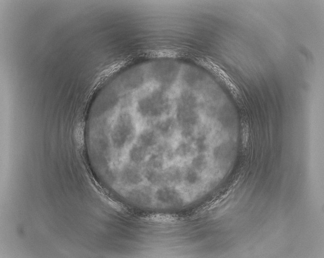 X0000114490537200911301108