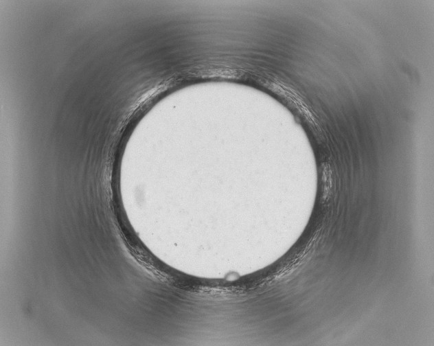 X0000114490538200911301108