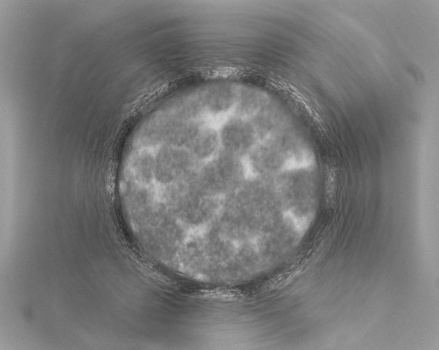 X0000114490545200911301108