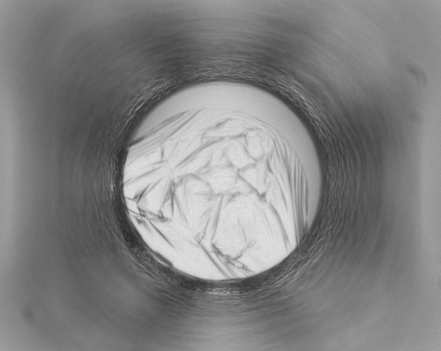 X0000114490546200911301108