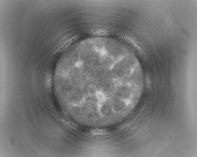 X0000114490549200911301108