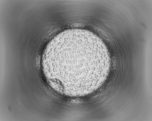 X0000114490550200911301108