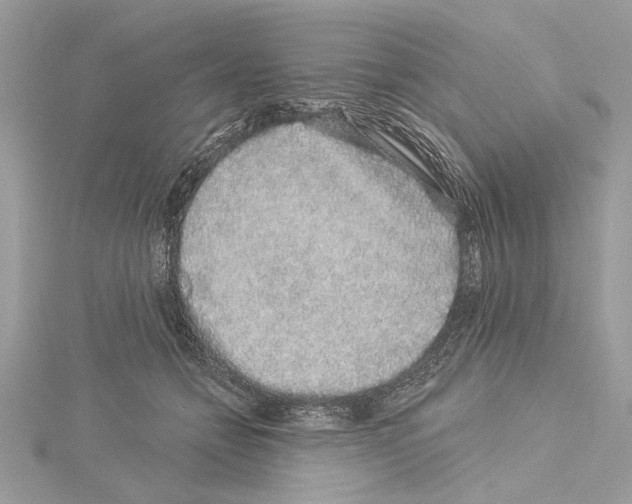 X0000114490558200911301108