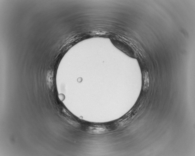 X0000114490559200911301108