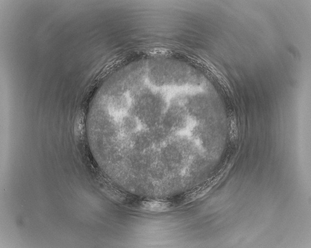 X0000114490561200911301108