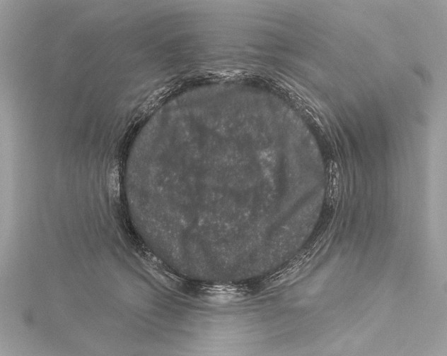 X0000114490562200911301108